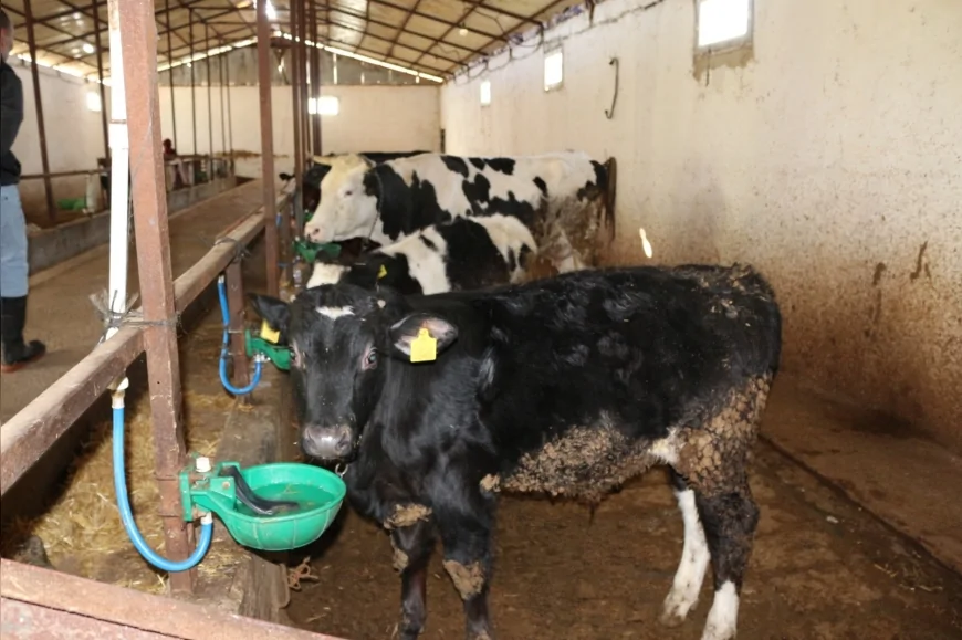 Yalova İl Tarım ve Orman Müdürü Mustafa İlmeç: “Kırsalda Bereket Projesi Sahada Somut Sonuç Vermeye Başladı”