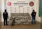 Ticaret Bakanlığı Gümrükler Muhafaza Ekiplerinden Ambarlı, Kapıkule ve Gürbulak’ta 828 Milyon TL’lik Uyuşturucu Darbesi