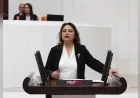 TBMM Başkanlık Divanı Üyesi Dr. Müzeyyen Şevkin: “0850 terörüne Meclis el atmalıdır”