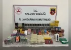 Yalova’da Jandarma Operasyonu Kaçak Tütün ve Elektronik Sigara Deposu Ortaya Çıkarıldı