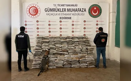 Ticaret Bakanlığı Gümrükler Muhafaza Ekiplerinden Ambarlı, Kapıkule ve Gürbulak’ta 828 Milyon TL’lik Uyuşturucu Darbesi