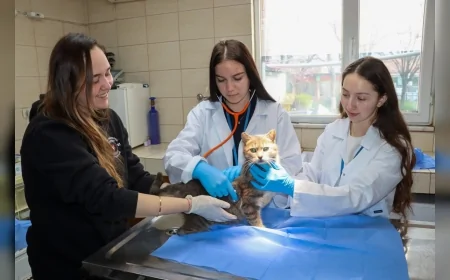 Yalova Belediyesi Veteriner İşleri Müdürlüğü Erasmus Öğrencilerine Ev Sahipliği Yapıyor