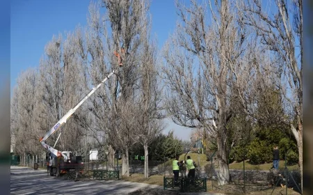 ESKİŞEHİR BÜYÜKŞEHİR BELEDİYESİ SAZOVA PARKI’NDA SEYRELTME VE GENÇLEŞTİRME ÇALIŞMALARINI SÜRDÜRÜYOR