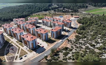 MUĞLA BÜYÜKŞEHİR BELEDİYESİ MENTEŞE AKÇAOVA MAHALLESİNDE 1100 METRELİK TOKİ VE HAYVAN BARINAĞI YOLUNU TAMAMLADI