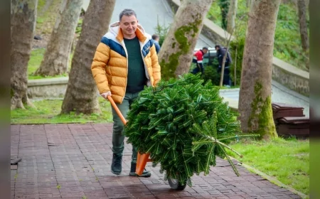 Giresun Kalesi’nde Yeşil Doku Güçleniyor Çam, Ihlamur ve Pavlonya Fidanları Toprakla Buluşturuluyor