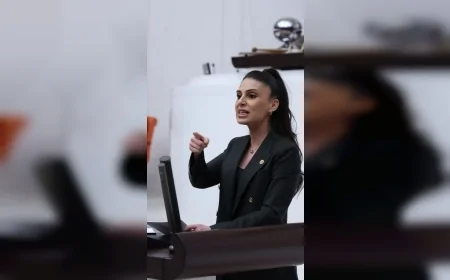 CHP Muğla Milletvekili Gizem Özcan: “Malulen Emeklilik Hakkı Keyfi İncelemelerle Aşındırılıyor mu”