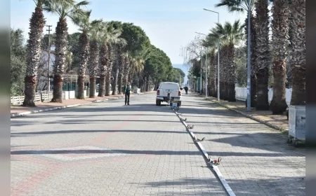 BALIKESİR’DE DEPREM RİSKİNE KARŞI BİLİMSEL ADIM BALDEP PROJESİYLE ALTINOVA SAHİLİ’NDE ZEMİN YAPISI İNCELENİYOR