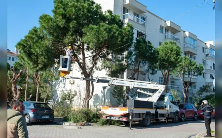 Karşıyaka Belediyesi İlçe Genelinde Budama Seferberliği Başlattı Ağaçlar Bahar Dönemine Hazırlanıyor