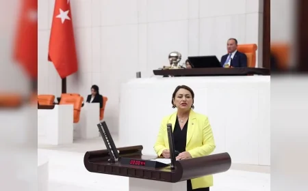 CHP Adana Milletvekili Dr. Müzeyyen Şevkin Adana’daki Sel Felaketleri ve Yeraltı Barajları İçin Meclis Araştırması İstedi