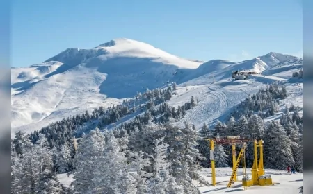 MİLLİ PARKLAR KANUNU TEKLİFİNE KARŞI BASIN AÇIKLAMASI BAOB’DA GERÇEKLEŞTİRİLECEK