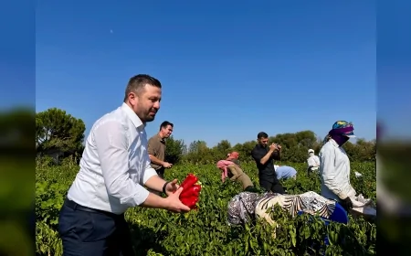 AK Parti Balıkesir İl Başkanı Mehmet Aydemir: “867 Milyon TL’lik Tarımsal Destek Balıkesirli Üreticilerin Hesaplarına Yatıyor”