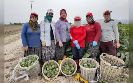 Efeler Belediye Başkanı Anıl Yetişkin: “Efeler’i kadınların özgürce ürettiği ve güvenle yaşadığı bir kent yapıyoruz”