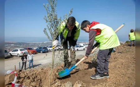 Güzelbahçe’de 1000 Zeytin Fidanı Özgürlük Demokrasi ve Birliktelik Ormanı’nda Toprakla Buluştu