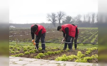Düzce Belediyesi Tarım Akademisi Öğrencileri Modern Tarım Teknikleriyle Uygulamalı Eğitimde Buluşturdu