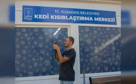 Kuşadası Belediyesi Veteriner İşleri Müdürü Erdinç Toy Sokak Kedilerinin Kısırlaştırılması Çağrısı Yaptı