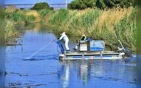 İzmir Büyükşehir Belediyesi Vektörlerle Mücadelede Teknolojiyi Sahaya Taşıdı 254 Bin Noktada Yıl Boyu İlaçlama Yapılıyor