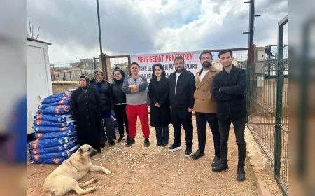 Sedat Peker’den Gaziantep Oğuzeli’ndeki Sokak Hayvanları Yaşam Alanına 2,5 Ton Mama Desteği