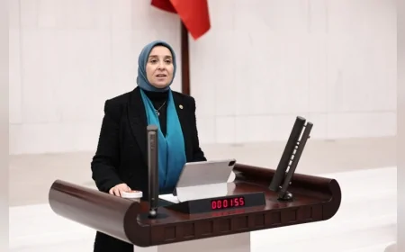 DEVA Partisi Genel Başkan Yardımcısı Elif Esen: “Doğayı korumanın finansmanı doğayı tüketen bir modele dönüşmemeli”