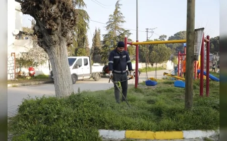 Aydın Büyükşehir Belediye Başkanı Özlem Çerçioğlu Koçarlı’da Yeşil Alan Düzenleme Çalışmalarının Sürdüğünü Açıkladı