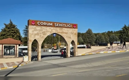 Çorum Aile ve Sosyal Hizmetler İl Müdürü Sahit Aydın: “81 İlde Şehit Mezarlarının Bakım ve Onarımı İçin Seferberlik Başlattık”