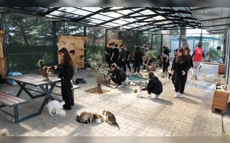 Yıldırım Belediyesi Sahipsiz Hayvan Bakımevi gençleri ağırladı