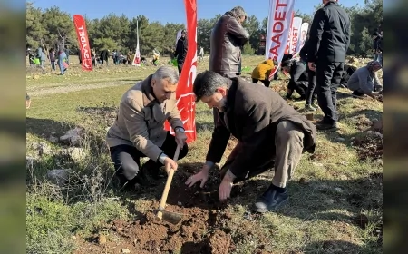 Saadet Partisi İzmir İl Başkanı Zekeriya Hazırbulan: “Orman yangınlarının kayıplarını birlikte telafi edeceğiz”