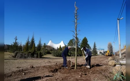 ESKİŞEHİR BÜYÜKŞEHİR BELEDİYESİ SAZOVA PARKI’NDA AĞAÇLANDIRMA ÇALIŞMASI BAŞLATTI