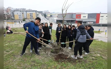 Nilüfer’de Orman Haftası Etkinliğinde Öğrenciler 29 Akçaağaç Fidanını Toprakla Buluşturdu