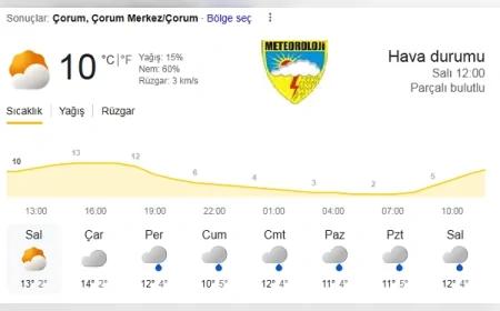 Meteoroloji Bayram süresince Karadeniz’in iç kesimleri için yağış ve soğuk hava uyarısı yaptı