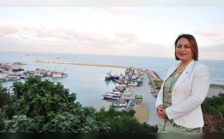 CHP Adana Milletvekili Dr. Müzeyyen Şevkin: “Karataş ve Yumurtalık neden teşvik kapsamından çıkarıldı”