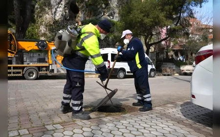 İzmir Kemalpaşa’da haşerelere karşı kapsamlı ilaçlama çalışmaları hız kazandı