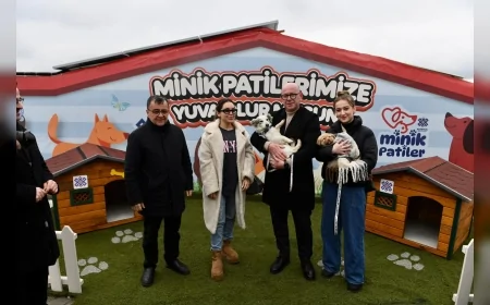 ALTIEYLÜL BELEDİYE BAŞKANI HAKAN ŞEHİRLİ: “CAN DOSTLARIMIZIN DAHA SAĞLIKLI VE GÜVENLİ BİR ORTAMDA YAŞAMALARI İÇİN TÜM İMKÂNLARIMIZI SEFERBER EDİYORUZ”