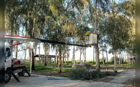 EFELER BELEDİYE BAŞKANI ANIL YETİŞKİN: “VATANDAŞLARIMIZA DAHA GÜVENLİ VE MODERN YEŞİL ALANLAR SUNUYORUZ”