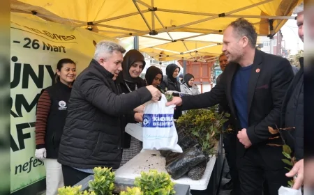 Kandıra Belediyesi Dünya Ormancılık Günü’nde 600 Defne Fidanını Vatandaşlara Dağıttı