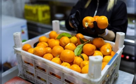 Balçova Belediye Başkanı Onur Yiğit dalında kalan ürünleri dayanışmayla sofralara taşıdıklarını açıkladı