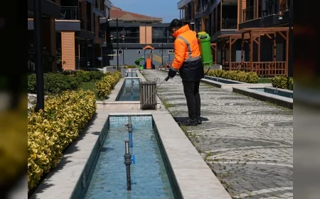 YALOVA BELEDİYESİ KARASİNEK VE SİVRİSİNEKLE MÜCADELEYİ 14 MAHALLEDE ARALIKSIZ SÜRDÜRÜYOR