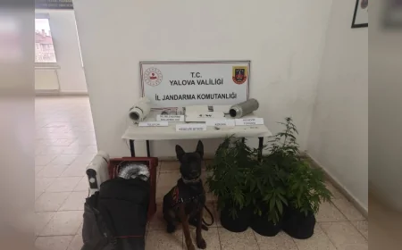 Yalova’da İklimlendirme Sistemiyle Kenevir Yetiştiren Şüpheliye Adli Kontrol