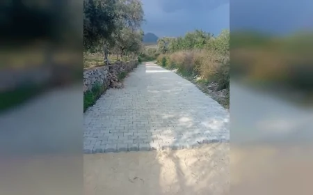 MİLAS BELEDİYE BAŞKANI FEVZİ TOPUZ: “MAHALLELERİMİZDE HİZMETLERİMİZ YOĞUN ŞEKİLDE DEVAM EDECEK”