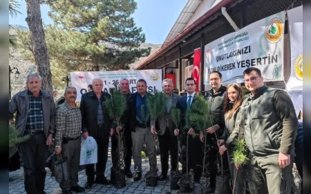 Oğuzlar Kaymakamı Serkan Tokur ve Belediye Başkanı Mustafa Cebeci: “Orman Haftasında 2.500 Fidan Vatandaşlara Dağıtıldı”