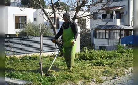 Kuşadası’nda Turizm Sezonu Öncesi Yeşil Alanlar ve Kent Estetiği Yenileniyor