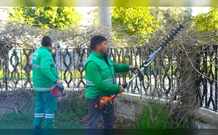 Milas Belediyesi İlçe Genelinde Bakım ve Budama Çalışmalarını Aralıksız Sürdürüyor