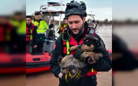 Bursa Karacabey’de taşkında mahsur kalan iki köpek Büyükşehir ekiplerinin operasyonuyla kurtarıldı