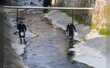 İzmir Büyükşehir Belediyesi: “Bahar aylarında görülen mevsimsel sinekler zararsızdır, endişe etmeyin”
