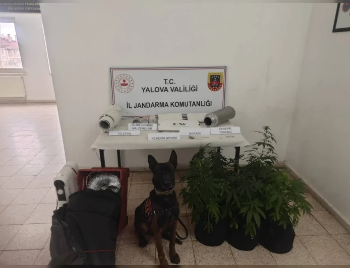 Yalova’da İklimlendirme Sistemiyle Kenevir Yetiştiren Şüpheliye Adli Kontrol