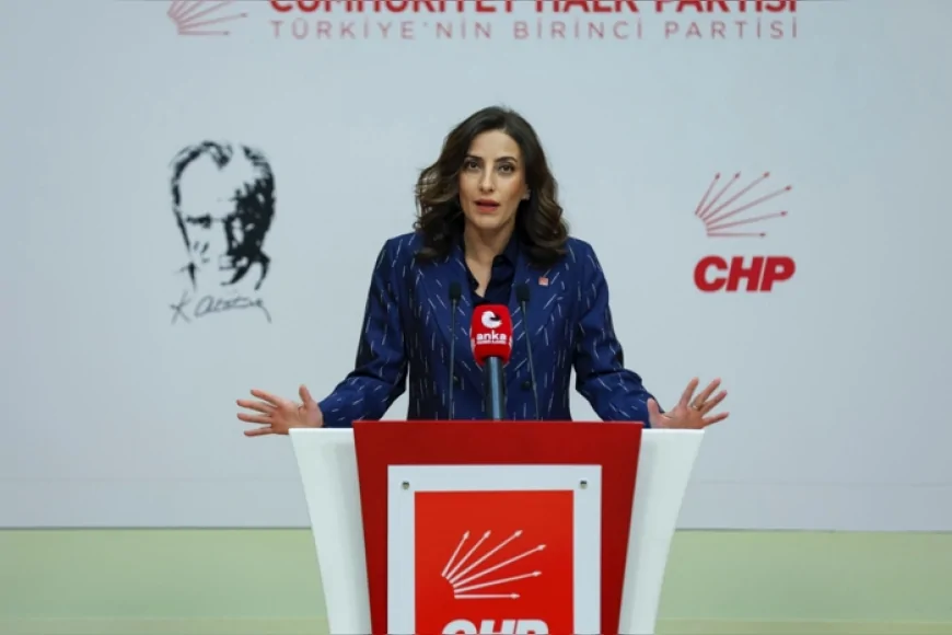 CHP Genel Başkan Yardımcısı Evrim Rızvanoğlu Muş Varto’daki 16 köyü etkileyecek jeotermal arama projesini Meclis gündemine taşıdı