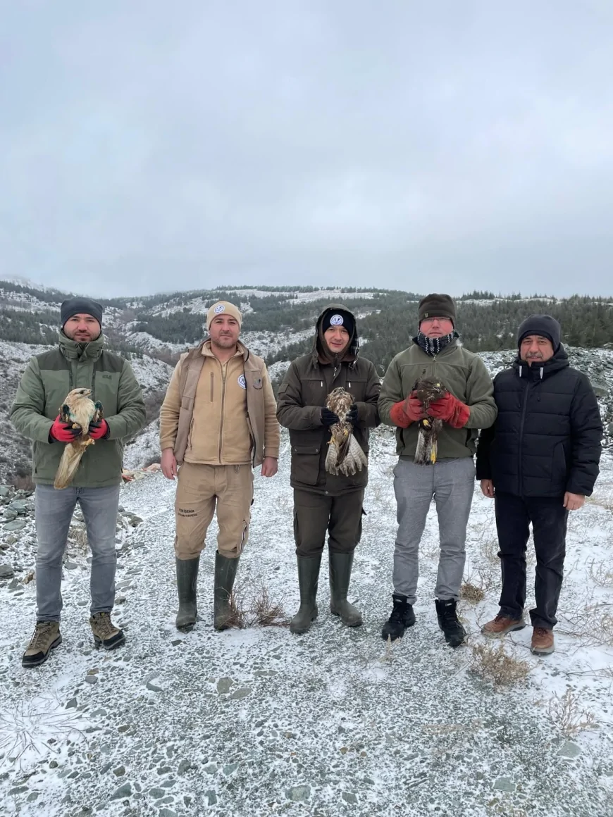 Eskişehir Büyükşehir Belediyesi Hayvanat Bahçesi’nde Tedavi Edilen 3 Şahin ve 1 Kara Akbaba Doğaya Salındı