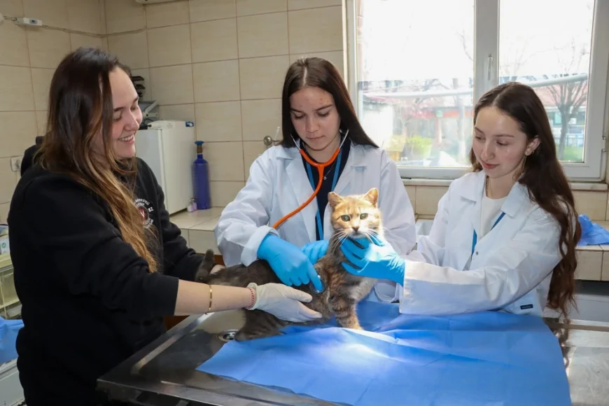 Yalova Belediyesi Veteriner İşleri Müdürlüğü Erasmus Öğrencilerine Ev Sahipliği Yapıyor
