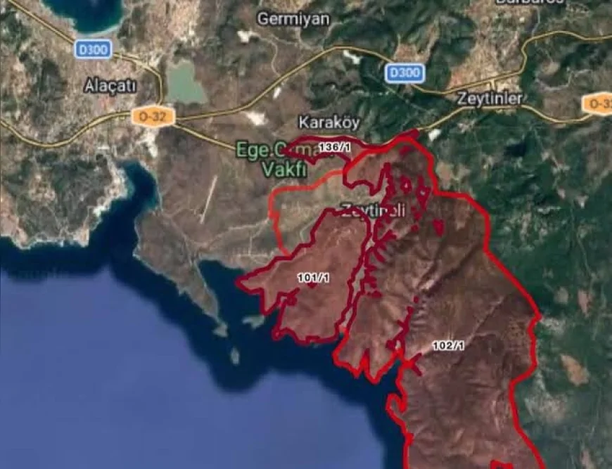 DEVA Partisi İzmir İl Başkanı Aybar Uygur: “İzmir’in Ormanlarını Korumak İzmir’in Geleceğini Korumaktır”