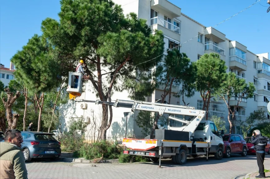 Karşıyaka Belediyesi İlçe Genelinde Budama Seferberliği Başlattı Ağaçlar Bahar Dönemine Hazırlanıyor