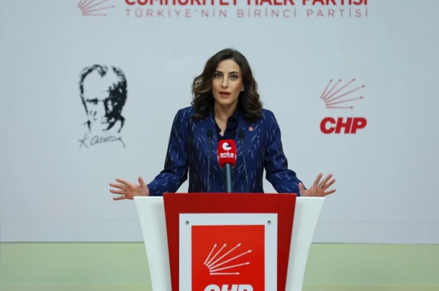 CHP Genel Başkan Yardımcısı Evrim Rızvanoğlu Muş Varto’daki 16 köyü etkileyecek jeotermal arama projesini Meclis gündemine taşıdı
